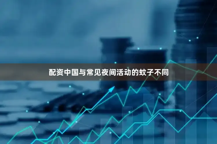 配资中国与常见夜间活动的蚊子不同