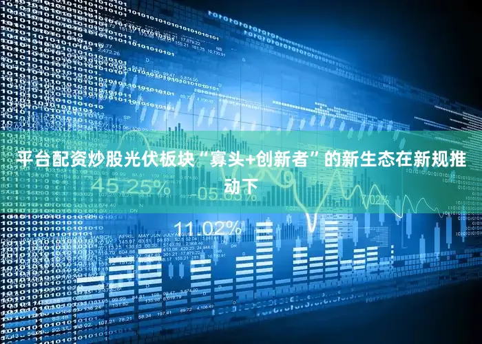 平台配资炒股光伏板块“寡头+创新者”的新生态在新规推动下