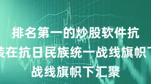 排名第一的炒股软件抗日武装在抗日民族统一战线旗帜下汇聚