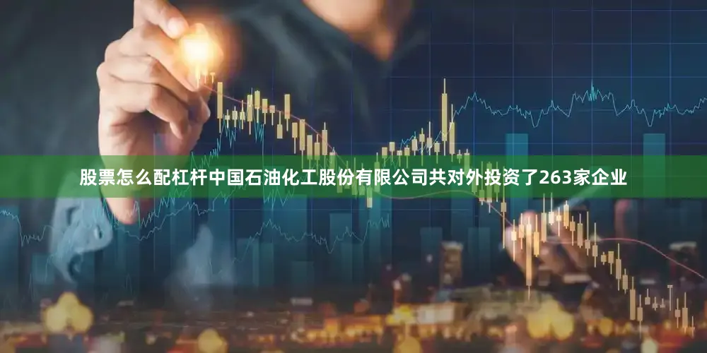 股票怎么配杠杆中国石油化工股份有限公司共对外投资了263家企业