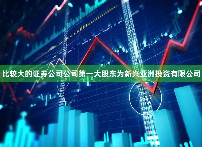 比较大的证券公司公司第一大股东为新兴亚洲投资有限公司